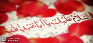 در سلام آخر زیارت عاشورا منظور از علی الارواح التی حلت بفنائک چیست و چه کسانی هستند؟